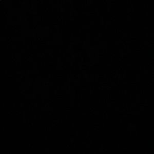 Meet your Posher, Charlee